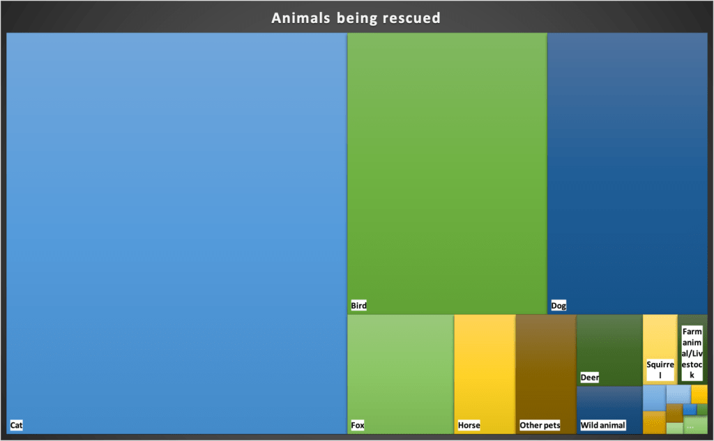 Treemap showing which are the most commonly rescued animals