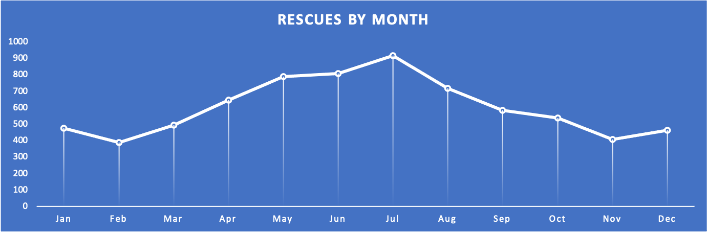 Graph showing animal rescue incidents by month